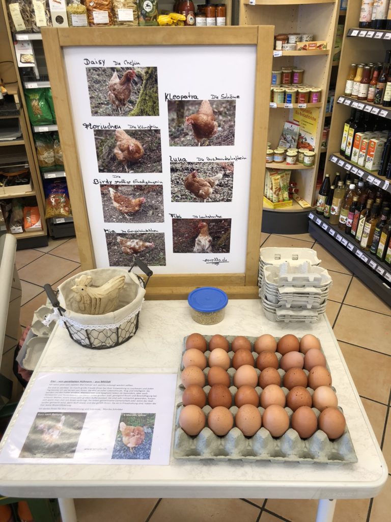 Stand Eierverkauf Ulme