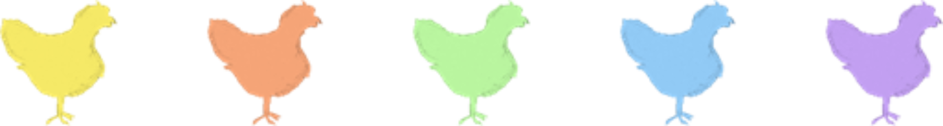 Sorello – Hühner auf der Sonnenseite des Lebens
